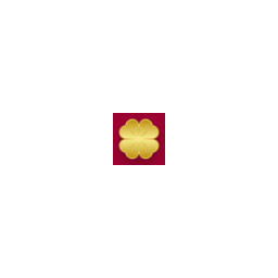 LuckyBet brand logo