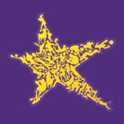 Hollywoodbets brand logo