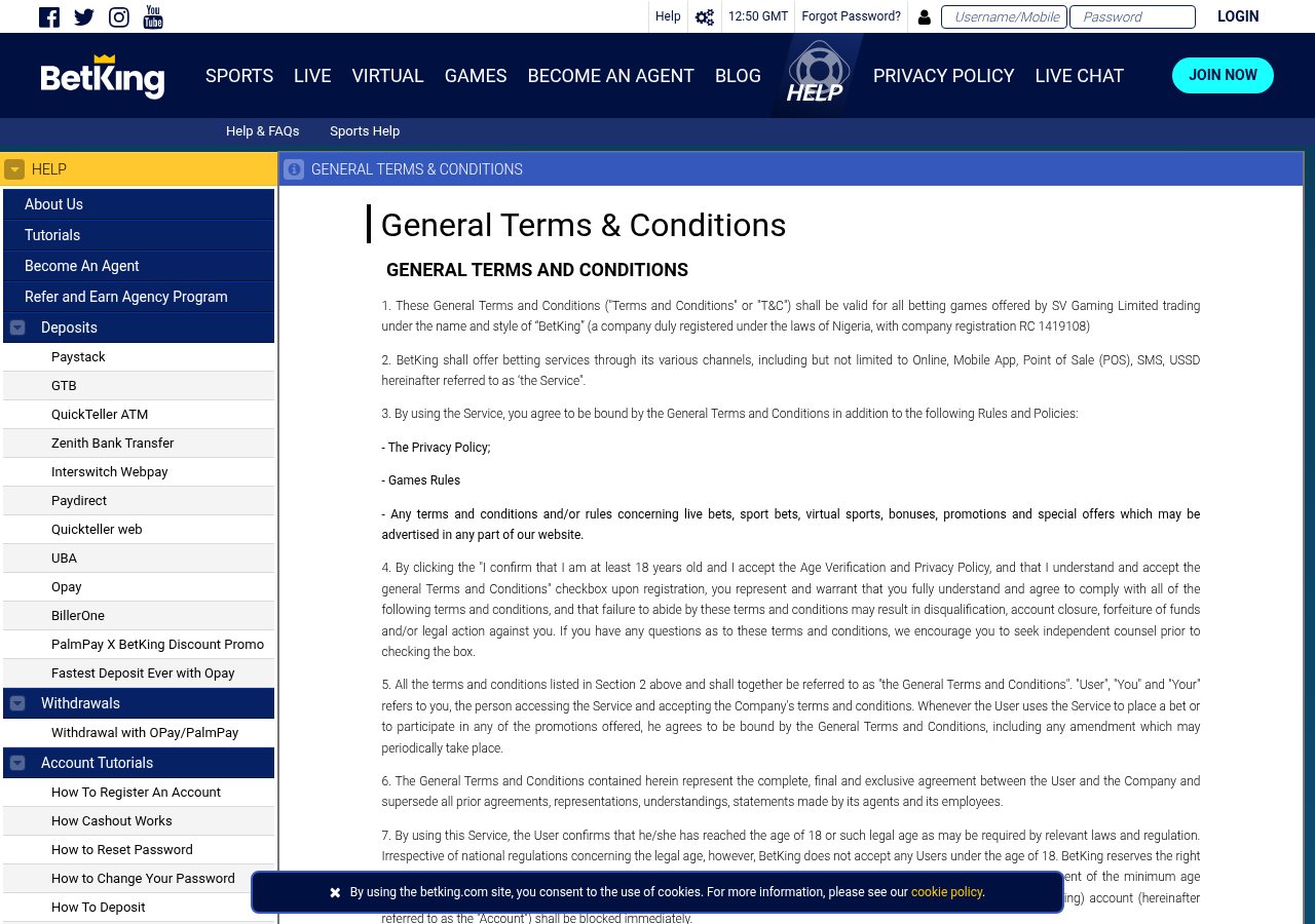 BetKing general terms captured on 13 August 2026, including the operator-published contracting identity.
